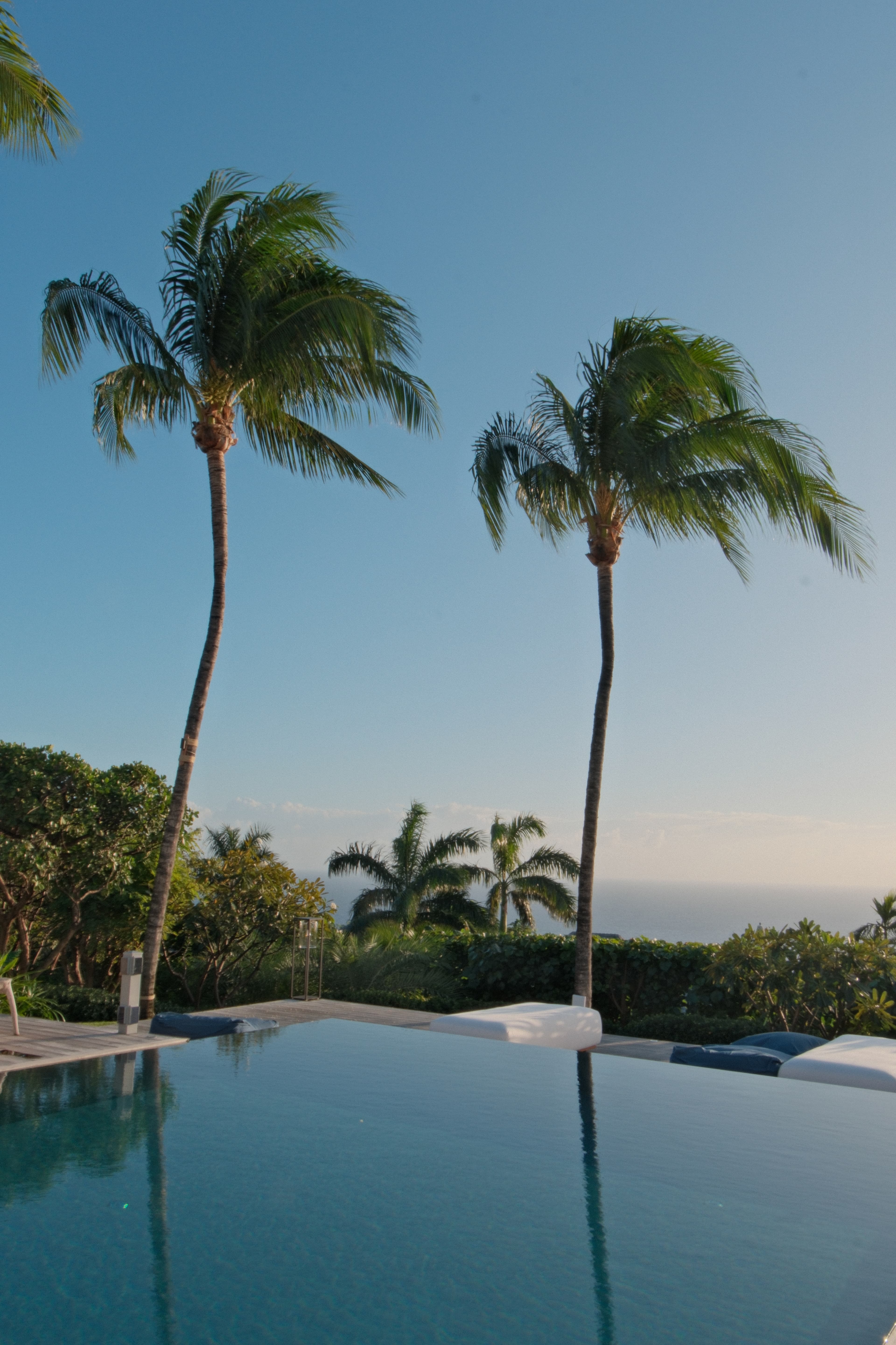 Pool terrace, Blanc Bleu
